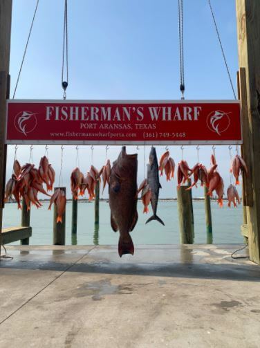 Fishing Port Aransas: 82lb Black Group