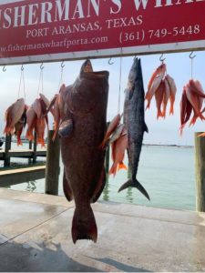 Port Aransas charter fishing big catch