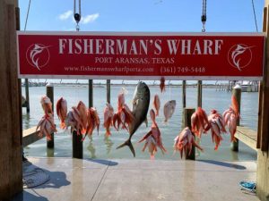 lionfish caught on 9 hour fishing charter in port aransas