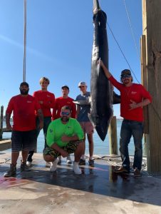 Mako shark Port Aransas