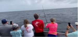 Charter Fish Sailfish being caught