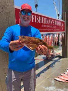 Strawberry Grouper—Fishing in Port Aransas