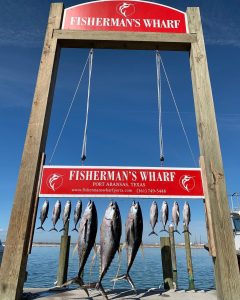 Private tuna charter haul