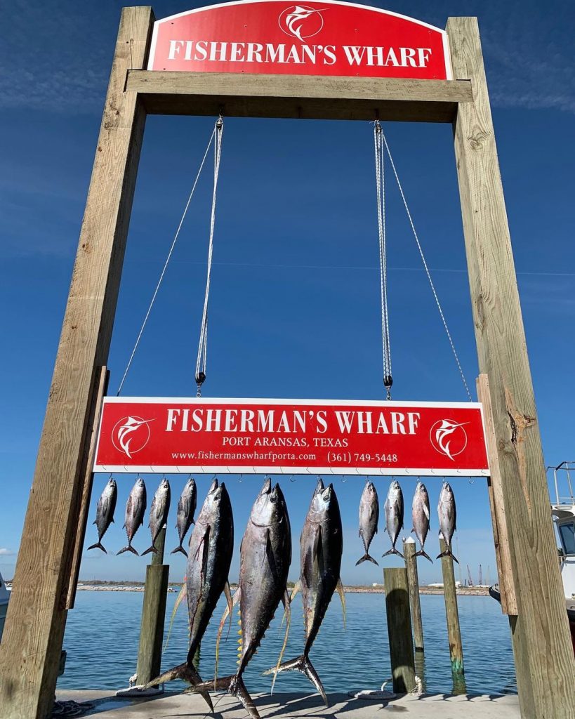 Private tuna charter haul