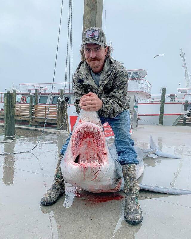 477lb Mako Shark Catch — Fisherman’s Wharf Port Aransas