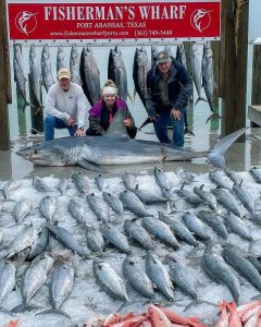 Fishing charter tuna and mako catch