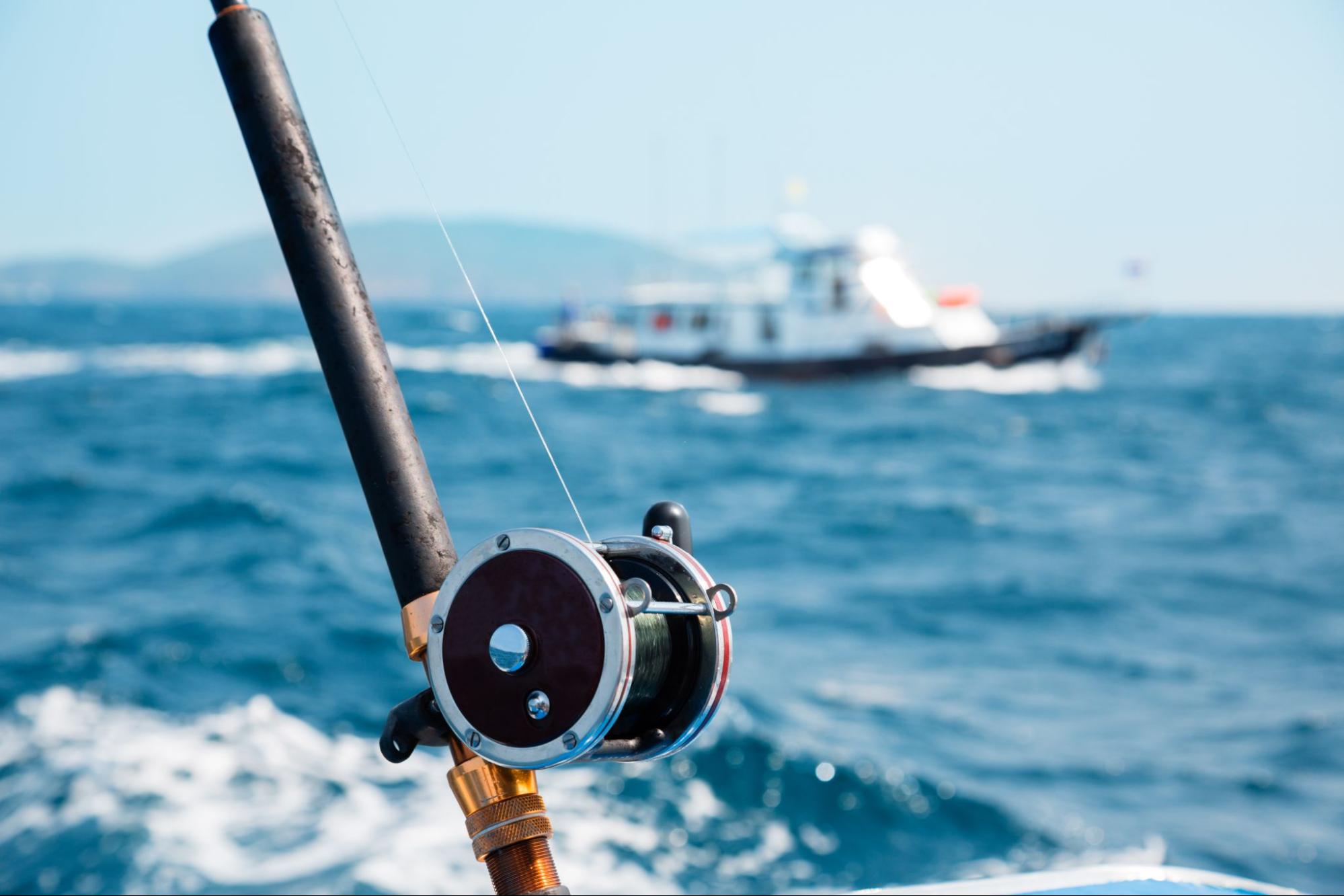 Deep Sea Fishing Experience - Port Aransas Fisherman's Wharf