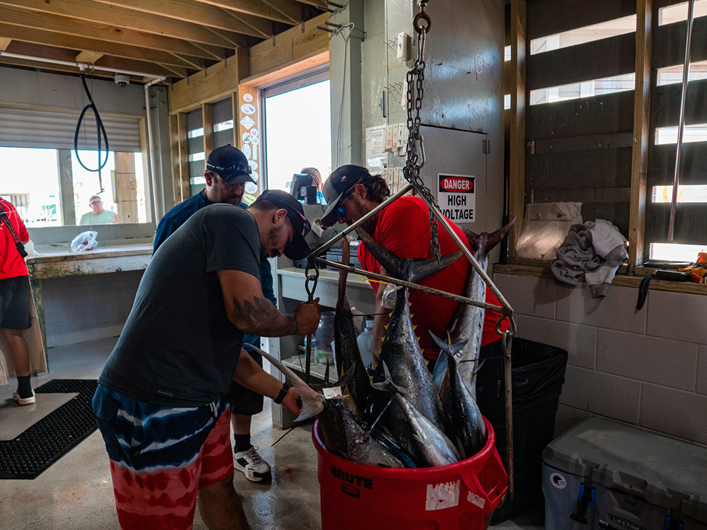 fishing trips port aransas texas