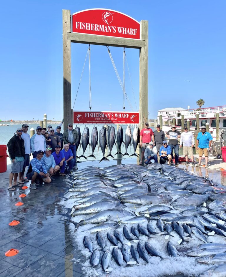 Tuna Fishing Charter