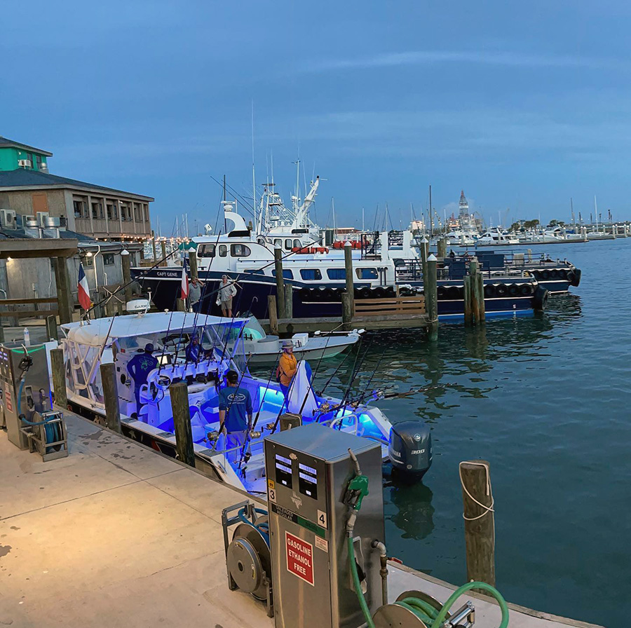 Evening view of a busy marina with various boats docked, including a brightly illuminated charter boat, against a backdrop of a serene sky and distant cityscape.